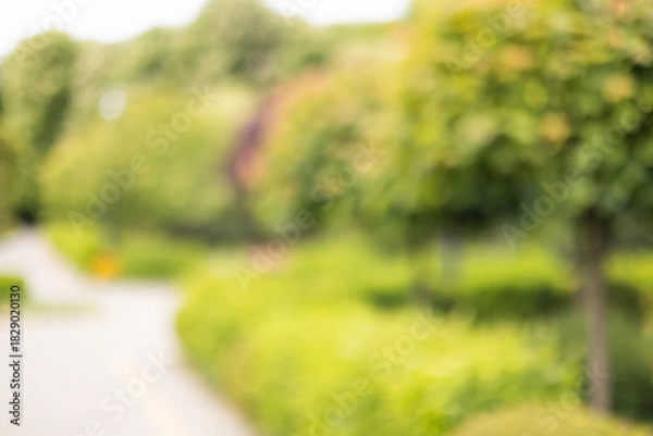 Fototapeta Blurred Green Park Background with Bokeh