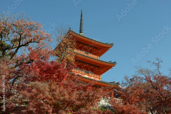 Obraz 秋の清水寺　紅葉の三重塔　京都市東山区清水