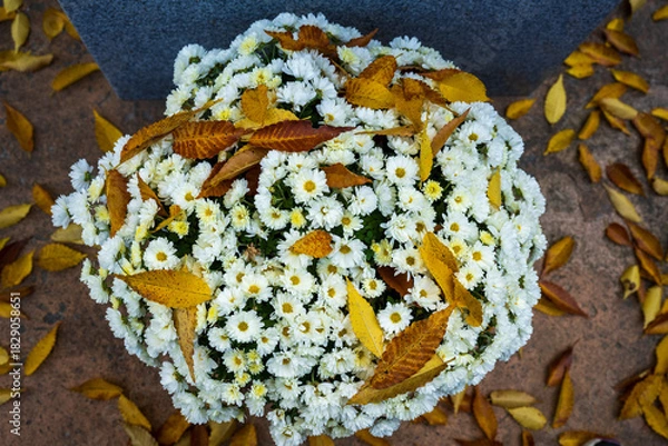 Obraz Autumn Leaves Resting on White Chrysanthemum Bouque
