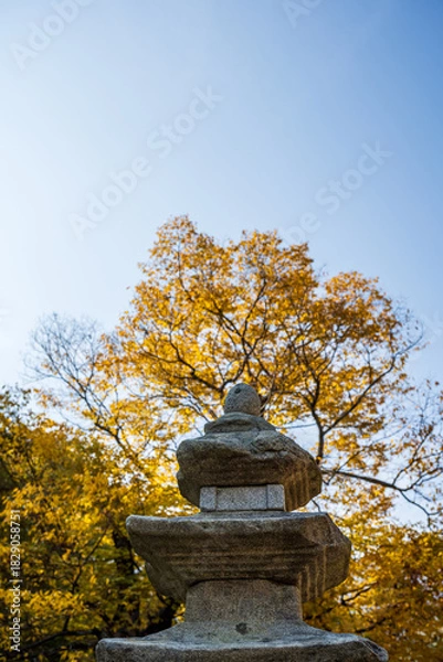 Obraz Ancient Stone Pagoda beneath Autumn Canopy Sky