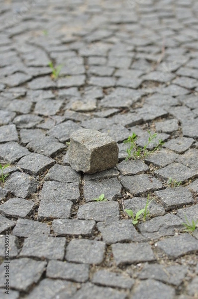 Obraz paving stone texture