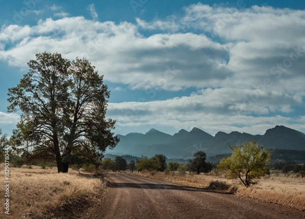 Obraz Flinders Ranges Panorama