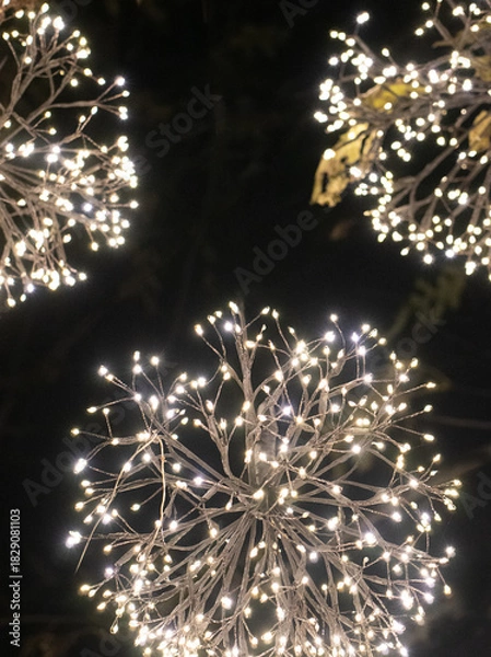 Obraz Macro Shot of Christmas Lights in the Dark