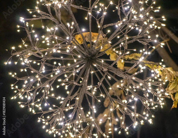 Obraz Macro Shot of Christmas Lights in the Dark