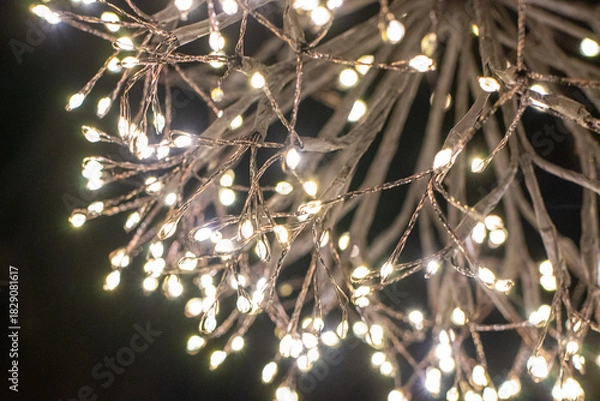 Obraz Macro Shot of Christmas Lights in the Dark