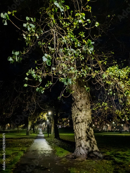 Fototapeta Edinburgh, Scotland, United Kingdom