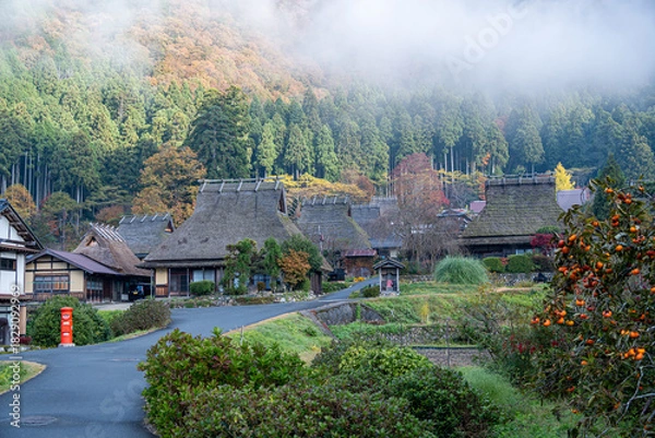 Obraz 美山かやぶきの里の秋