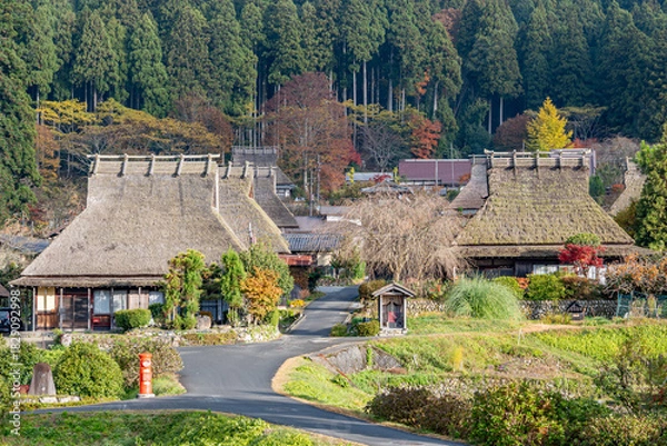 Obraz 美山かやぶきの里の秋