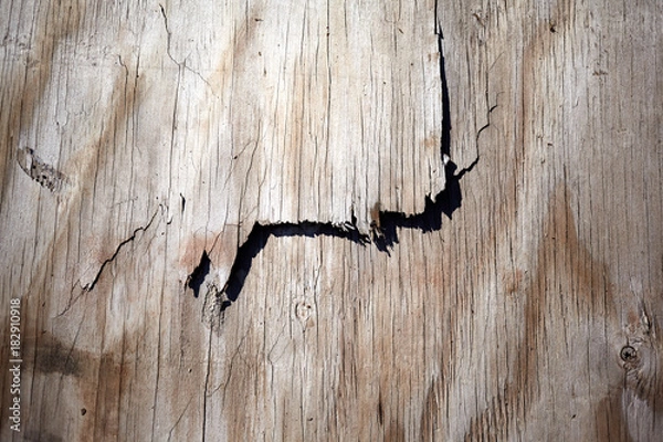 Fototapeta Background texture of splintering wood