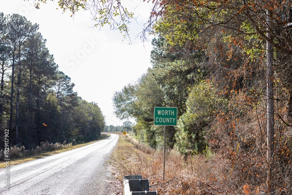 Obraz Worth County, GA sign