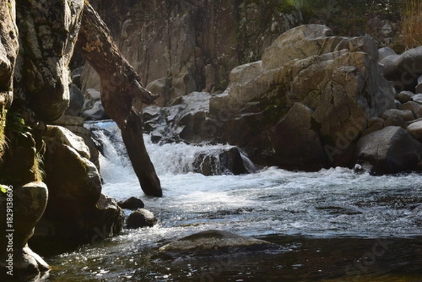 Obraz 流木と花崗岩が形作る山峡の小滝と渓流風景