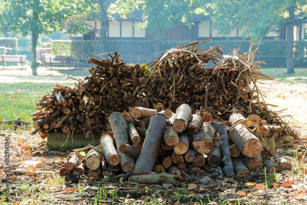 Obraz 庭の薪