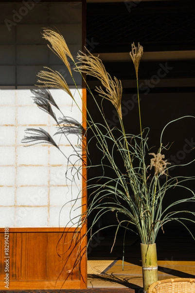 Obraz 縁側のすすき