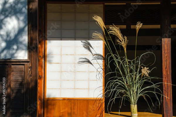 Obraz すすきのシルエット