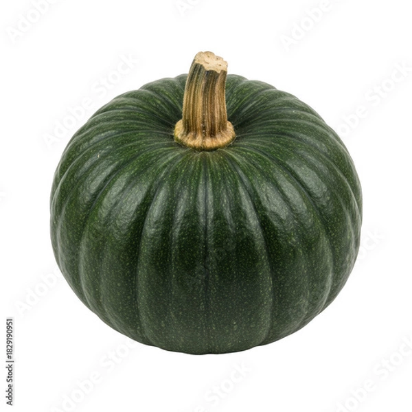 Obraz Dark Green Pumpkin with Ribbed Texture and Natural Stem