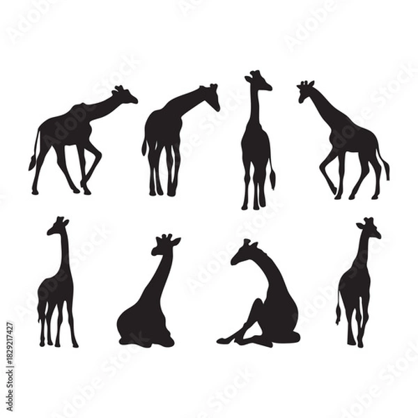 Obraz “Set of Giraffe Silhouette Poses on White Background”