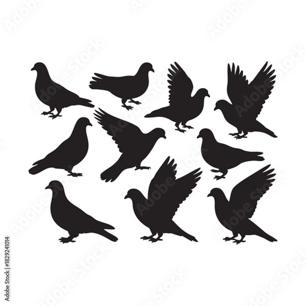 Obraz Set of Black Pigeon Silhouettes in Various Poses - Dove Vector Collection Title 2: Flying and Sitting Bird Silhouettes - Peace and Freedom Symbol Vector Graphics Title 3: Collection of Different Dove 