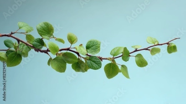Fototapeta Fresh green branch with vibrant new leaves against a serene light blue background, symbolizing growth and spring.