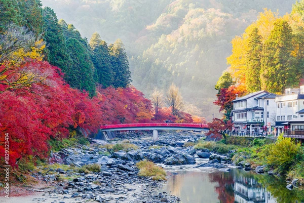 Fototapeta 朝の香嵐渓の紅葉と待月橋（愛知県j豊田市足助町）