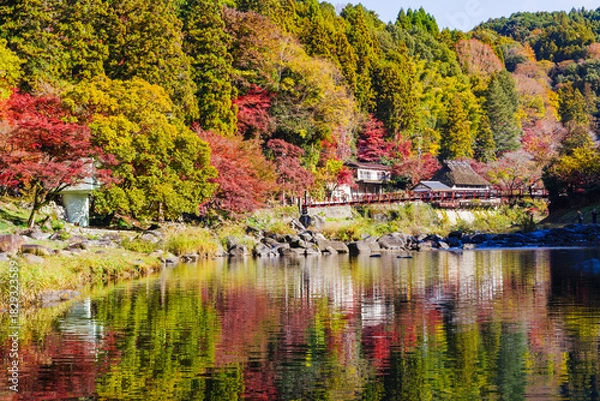 Fototapeta 香嵐渓の紅葉と香嵐橋（愛知県j豊田市足助町）