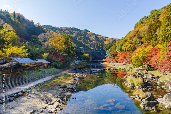 Fototapeta 香嵐橋から見た香嵐渓の紅葉（愛知県j豊田市足助町）