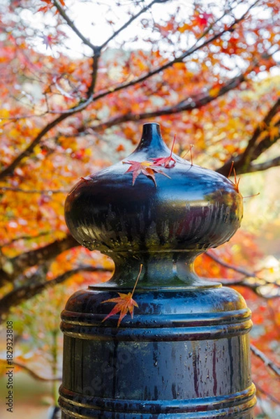 Fototapeta 朝露に濡れる秋の待月橋の擬宝珠（香嵐渓　愛知県豊田市足助町）