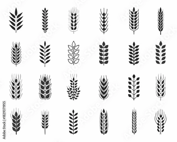 Obraz Collection of various wheat and grain stalk icons