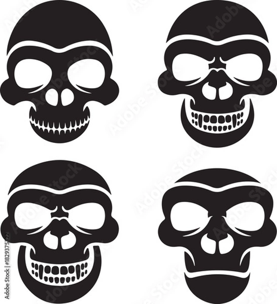 Obraz Vector graphic of four skulls in black and white colors