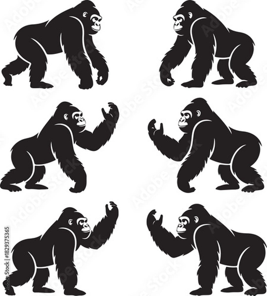 Obraz Vector Illustration of a Gorilla in Various Poses on White Background