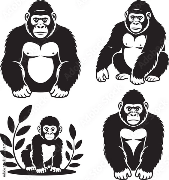 Obraz Vector Illustration of Four Gorillas in Various Poses on White Background