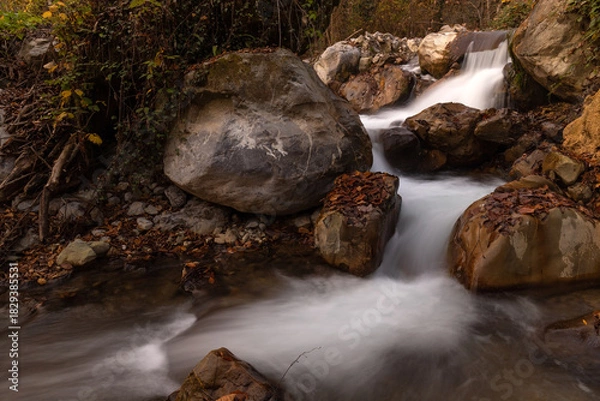 Fototapeta Picturesque small stream in the forest.