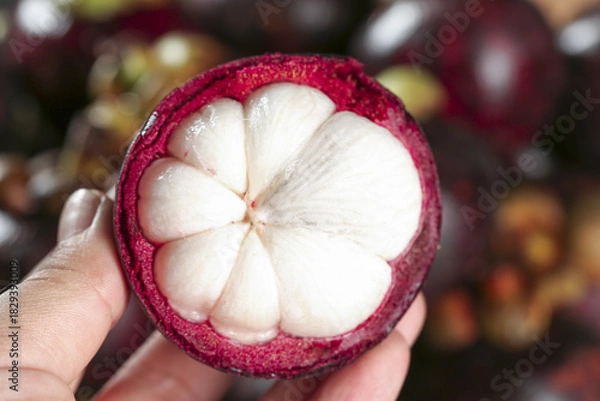 Obraz Fresh Mangosteen Fruit from Thailand Cut Open Showing White Segments in Purple Rind