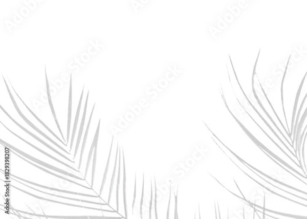 Fototapeta Realistic Botanical Transparent PNG Leaf Shadow Vector for Mockups with Natural Light and Shadow