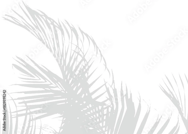 Fototapeta Realistic Transparent PNG Leaf Botanical Shadow Vector for Mockups with Natural Light and Shadow