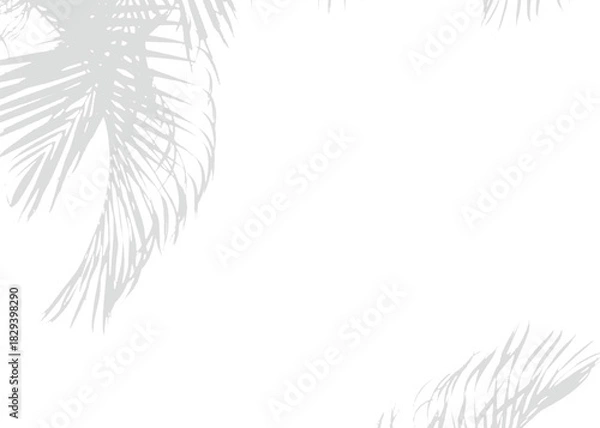 Fototapeta Realistic Transparent PNG Leaf Shadow Botanical Vector for Mockups with Natural Light and Shadow