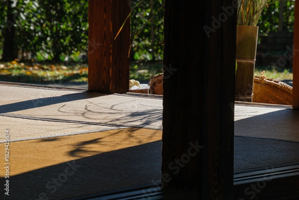 Obraz ススキのシルエット