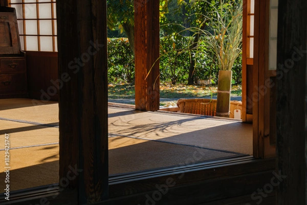 Obraz ススキの影