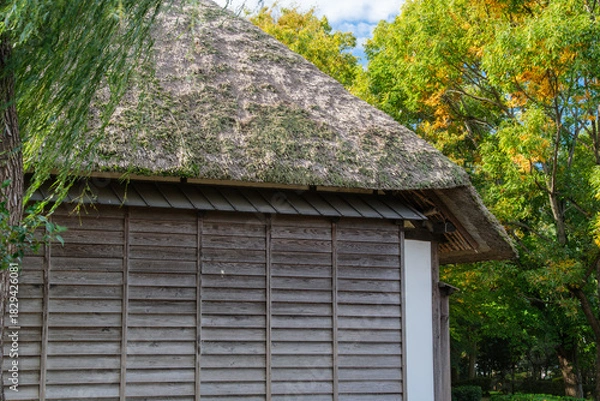 Obraz 茅葺屋根と柳