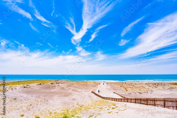 Fototapeta 中田島砂丘 は 遠州灘海岸 にある 日本三大砂丘 の 砂丘 【 静岡県 浜松市 の 自然 風景 】