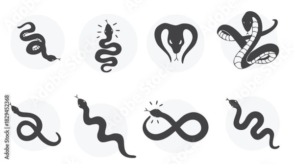 Fototapeta Snake Colorless element set illustration