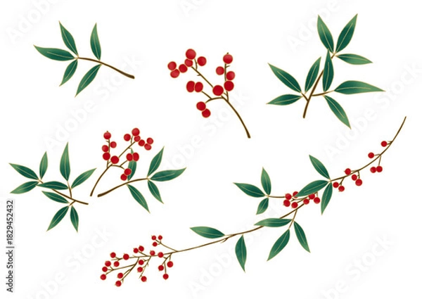 Obraz 南天のイラストセット