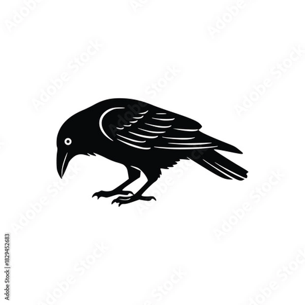 Obraz bird RAVEN  on a white background