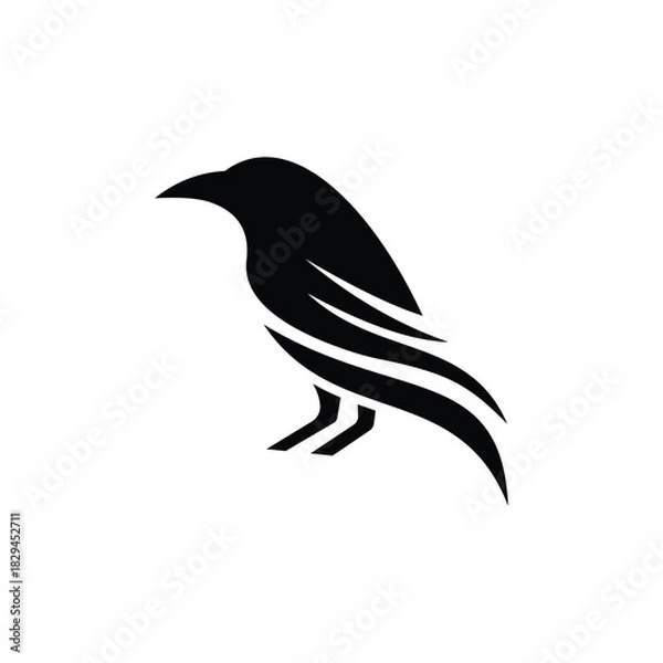 Obraz bird on a branch raven