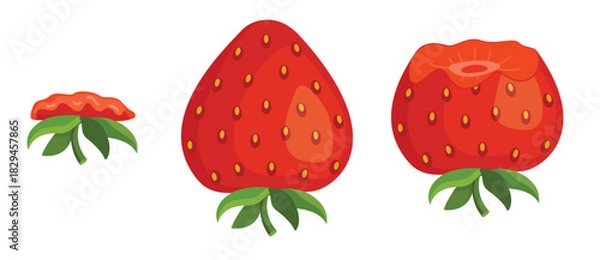 Fototapeta strawberry eating steps icon set stages of biting red berry