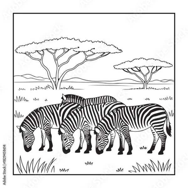 Obraz Zebra grazing in African Savanna: A depiction of a herd of zebras grazing peacefully amidst the tall grasses and iconic acacia trees under the open savanna sky.