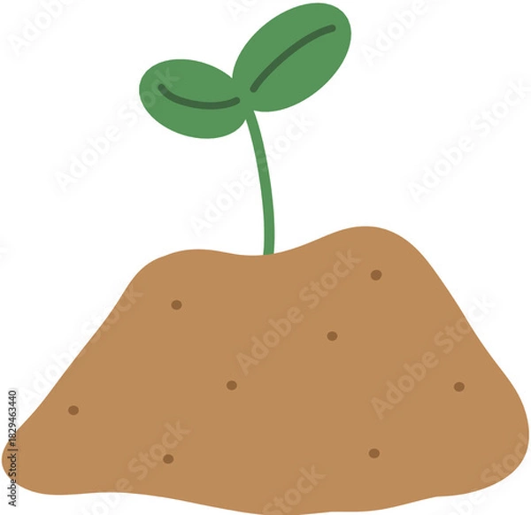 Obraz 새싹 키우기