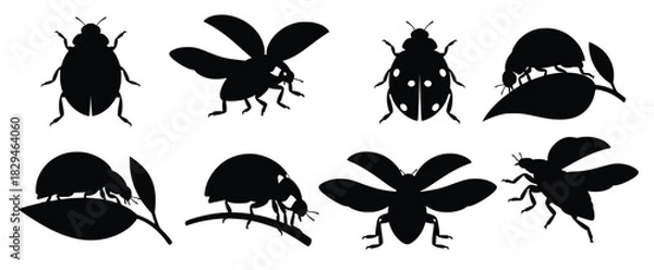 Obraz various ladybug silhouettes isolated on white background