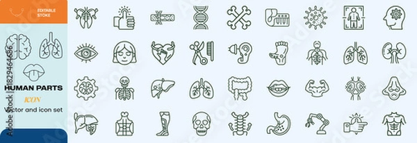 Obraz  Handdrawn human parts icon set