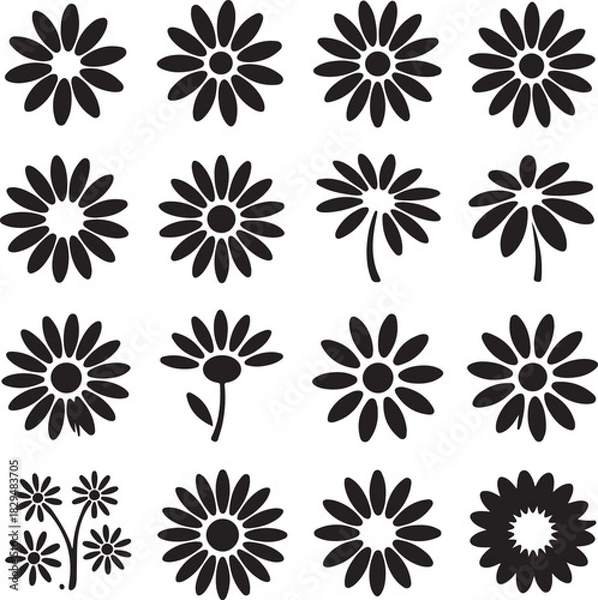 Fototapeta Collection of sixteen various daisy flower vector icons and design elements