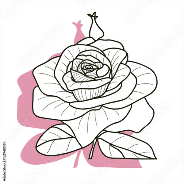 Fototapeta Rose2.eps